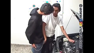 341 latino porn videos